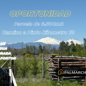 PARCELA CAMINO A PINTO KM 18