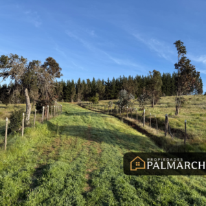 PARCELAS EN NINHUE 5.000M2