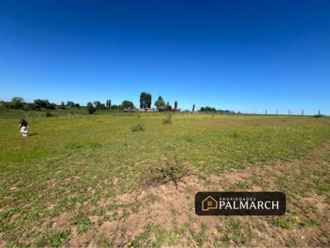 PARCELAS EN PARRAL SECTOR TALQUITA - Imagen 10
