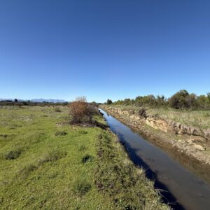 PARCELA EN PARRAL SECTOR TALQUITA 10.000M2