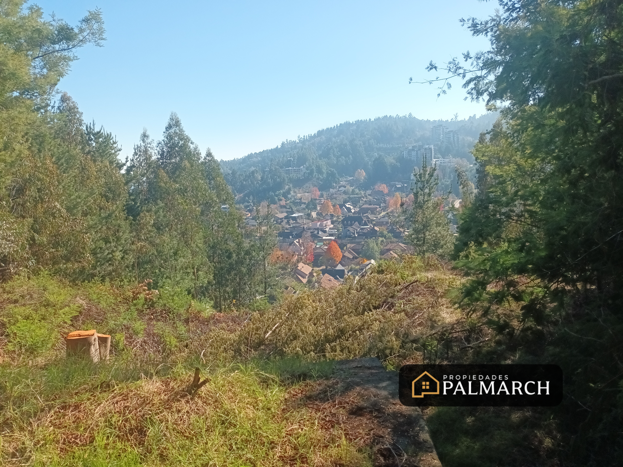 TERRENO EN VENTA EN LONCO PARQUE - Imagen 2