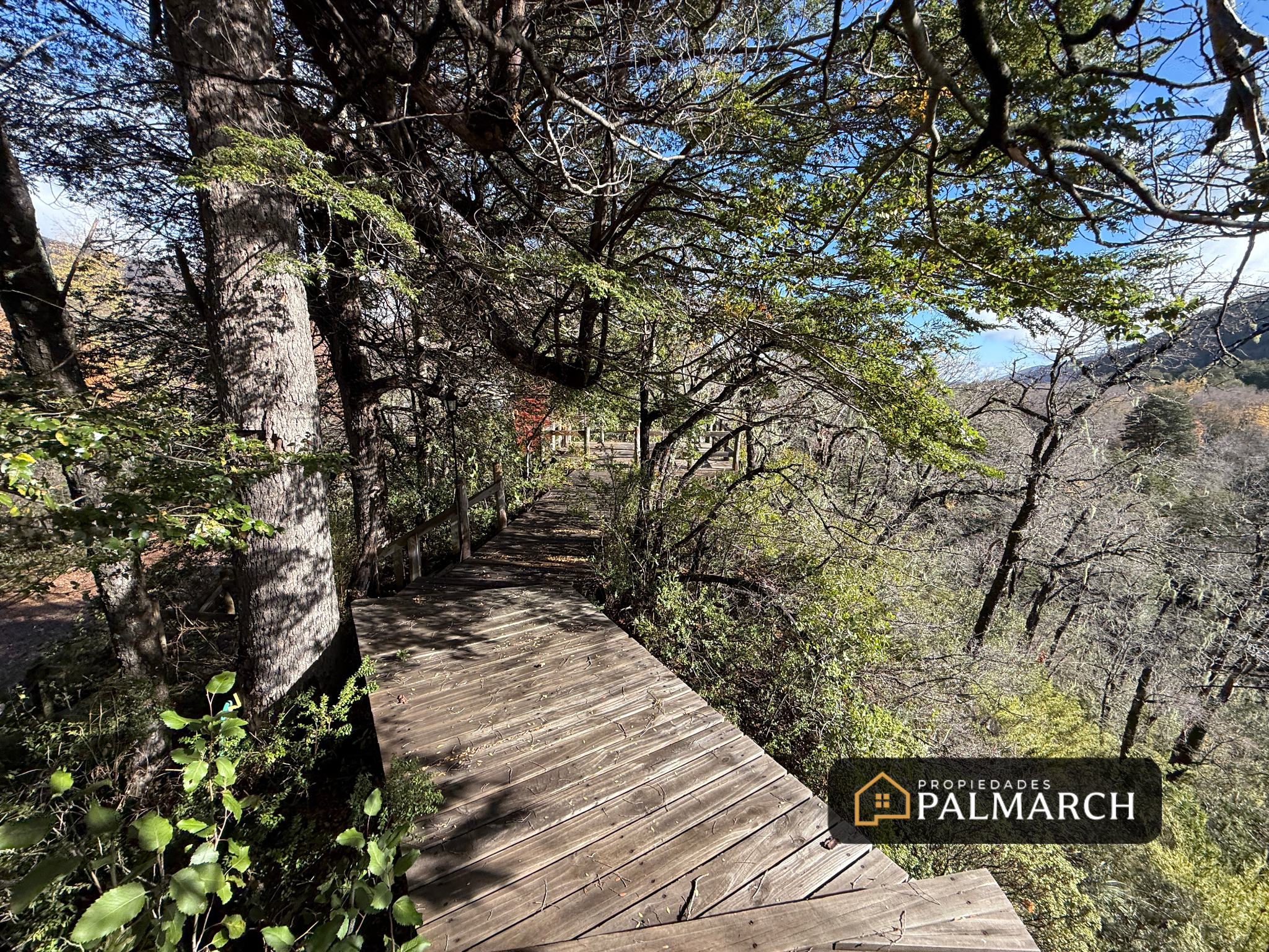 Exclusivo Complejo Turístico en Venta – Las Trancas - Imagen 5