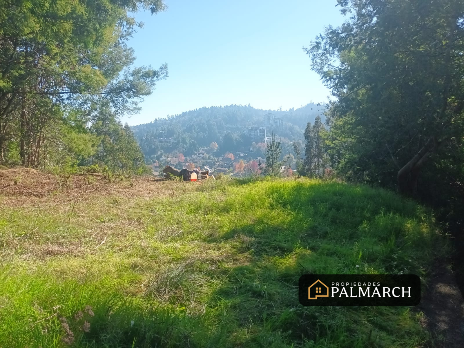TERRENO EN VENTA EN LONCO PARQUE - Imagen 9